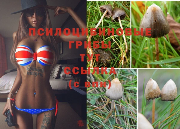 spice Абинск