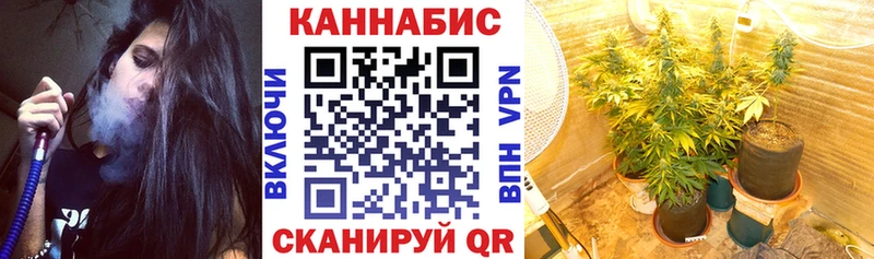 Канабис ГИДРОПОН  Кашира 